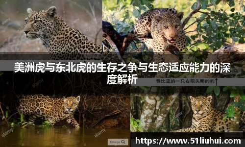 美洲虎与东北虎的生存之争与生态适应能力的深度解析